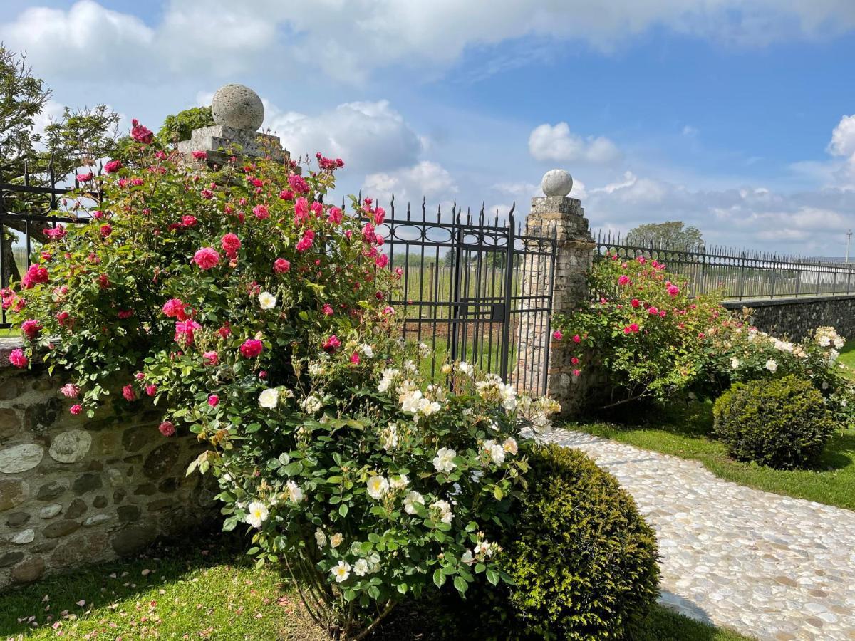 Villa Minini Bed & Breakfast Rive d'Arcano Eksteriør bilde
